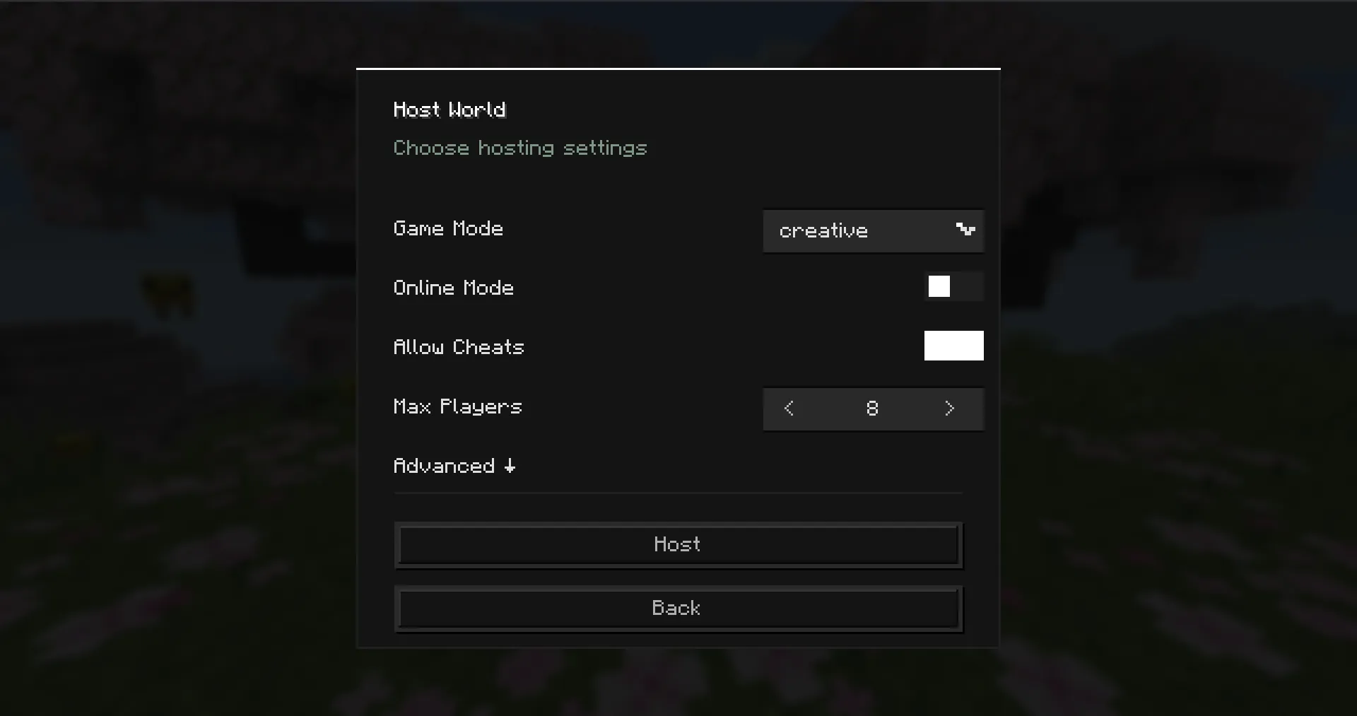 Pawn hosting settings