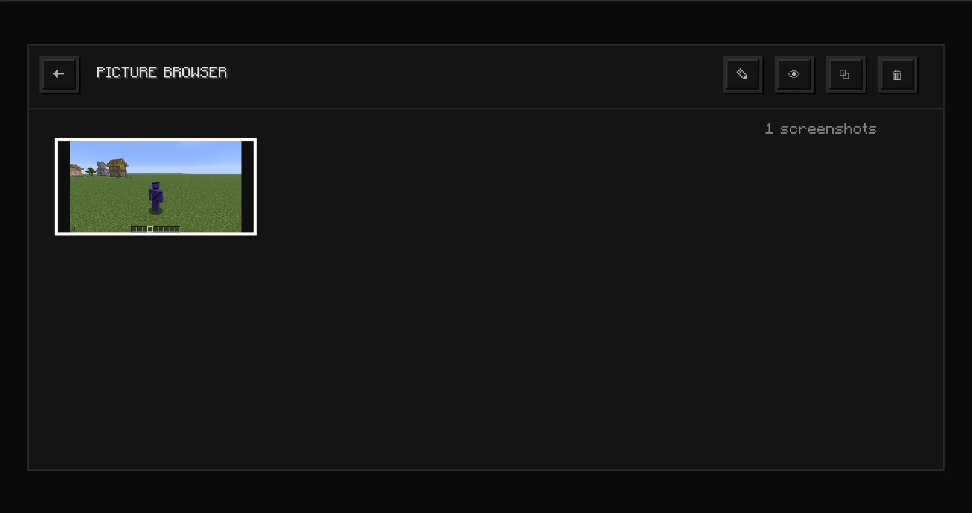 Pawn screenshot browser